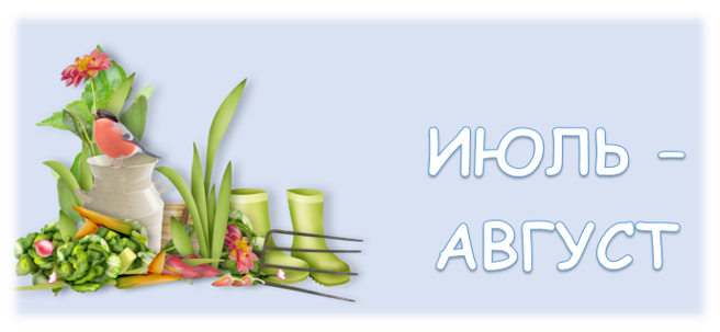кнопка-плакат план на юль-август