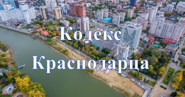 плакат