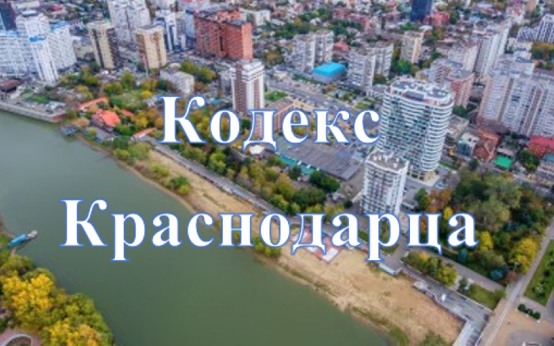 плакат